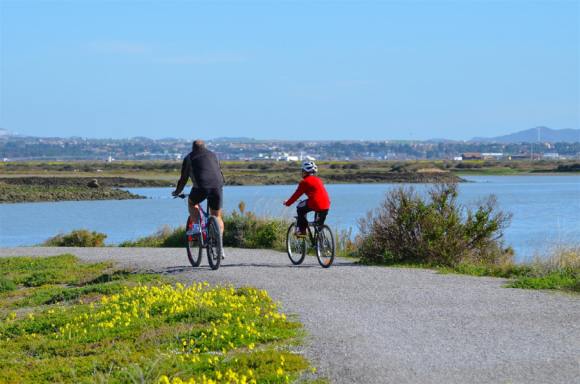 Bicicleta_San_Fernando_PN Baha de Cdiz_David Ibez Montaez_5