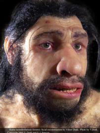 VIKTOR DEAK Primera reconstrucci�n del rostro de un neandertal