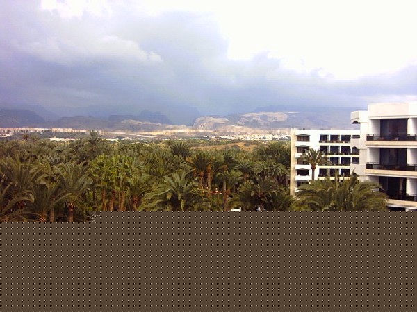jardines del hotel Maspalomas Oasis