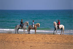 Paseos a caballo y clases