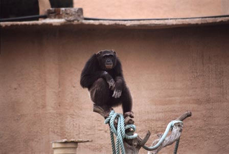 Aqualeón. Costa Dorada. Tarragona