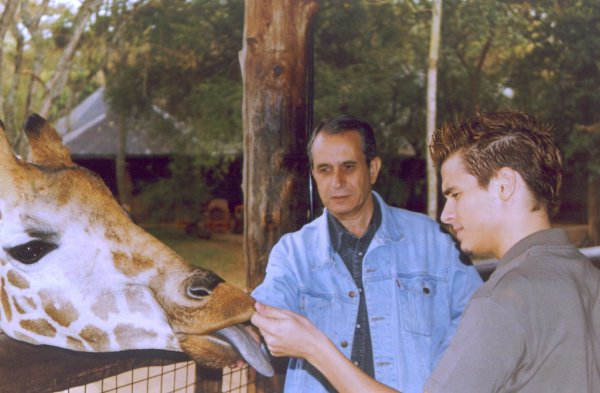 Dando de comer Jirafas en Centro Manor de Nairobi