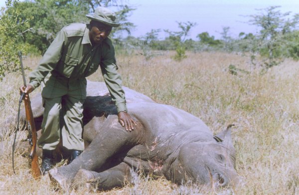 Guarda con "Morani" en el Rhino Santuario