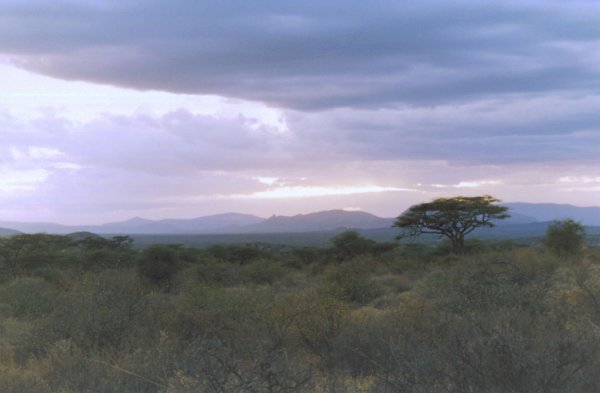 Sabana de Samburu